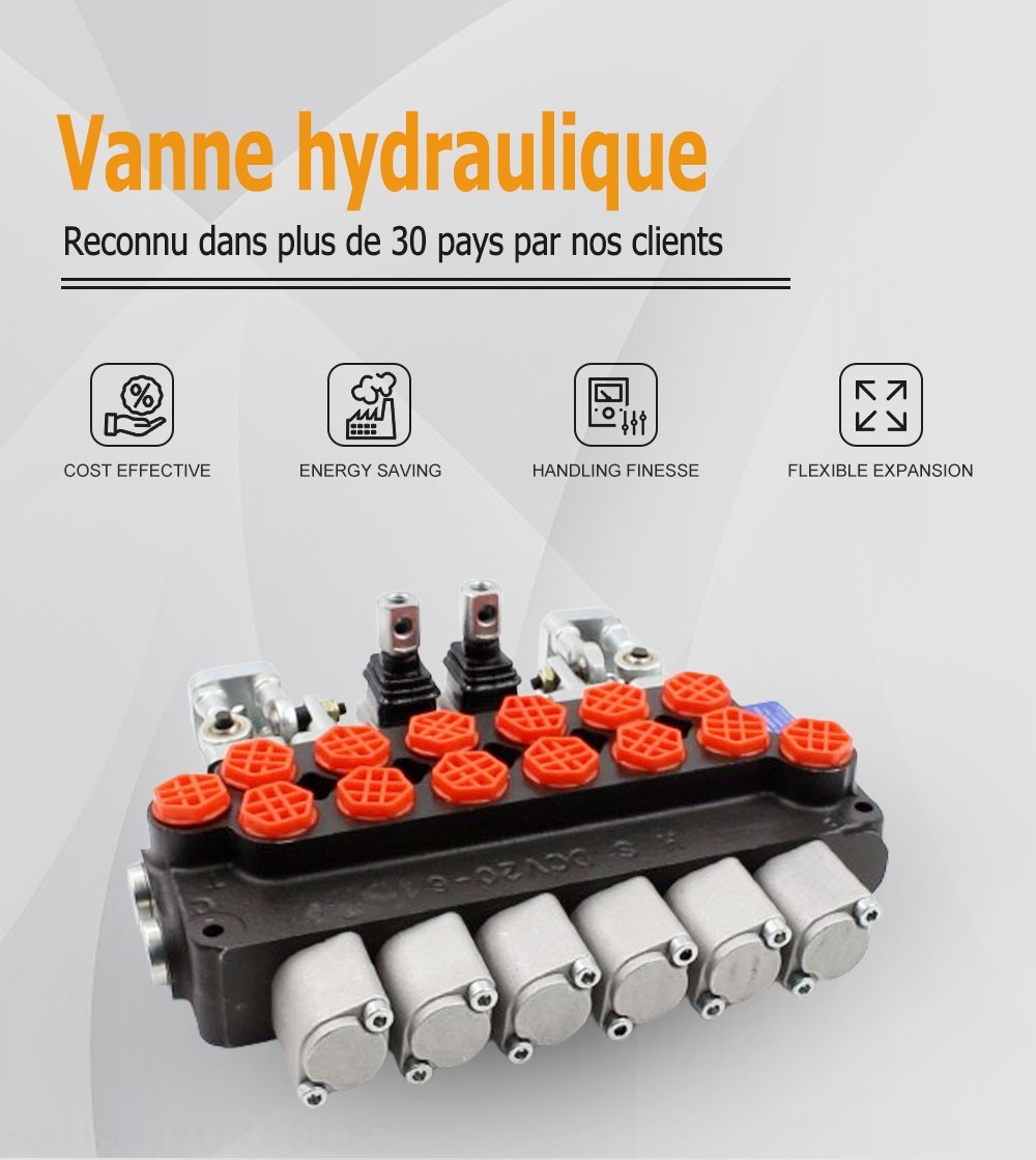 DCV20_Joystick and Manual Manuel et manette 6 distributeurs Distributeur directionnel monobloc